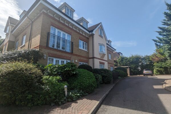 Blueberry Court 03
